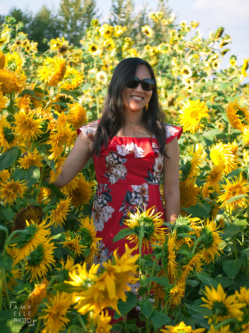 Efficitur faucibus vitae