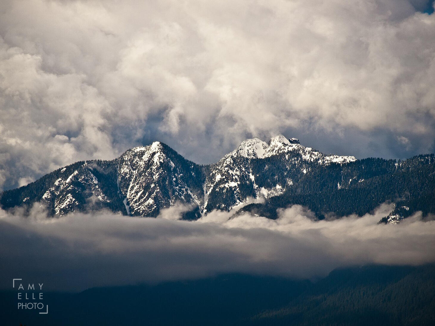 Fresh snow on the North Shore Mountains, North Vancouver, Canada