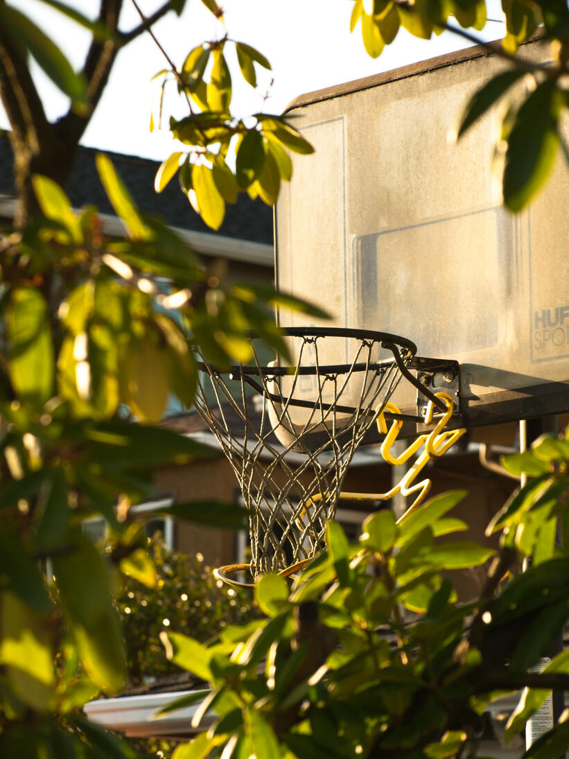 Backyard hoops